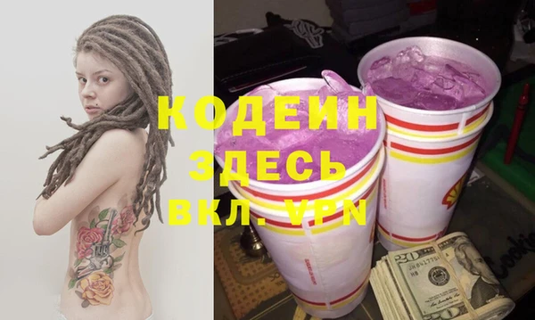индика Аша