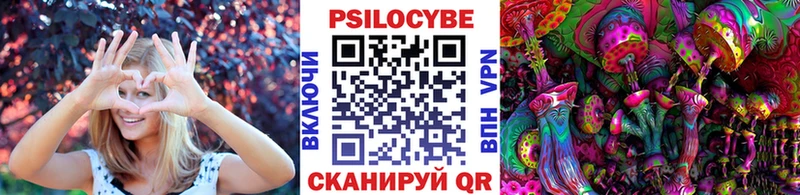 Псилоцибиновые грибы Cubensis  Олонец 